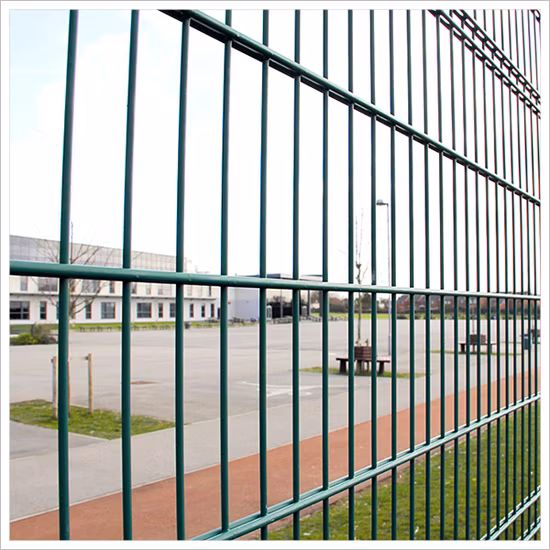 Сообщество 50